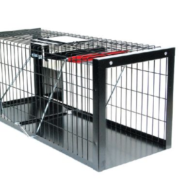 Eeziset - Trampa para gatos - 1