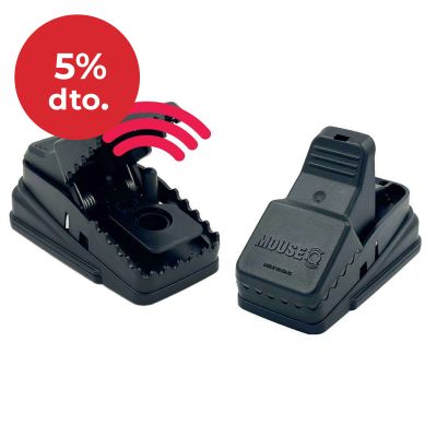 Mouse iQ – 1