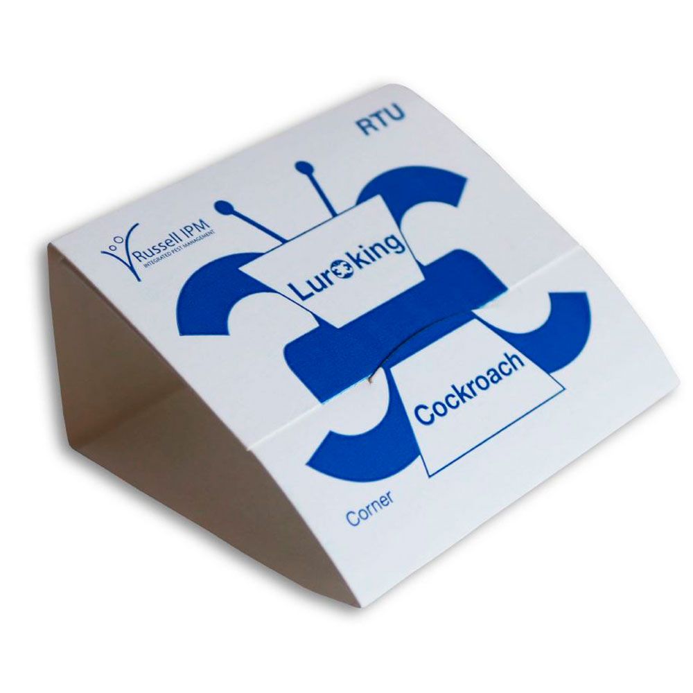 Lureking Corner – 100 x 3
