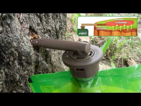 Ynject GO Palmera - 100
