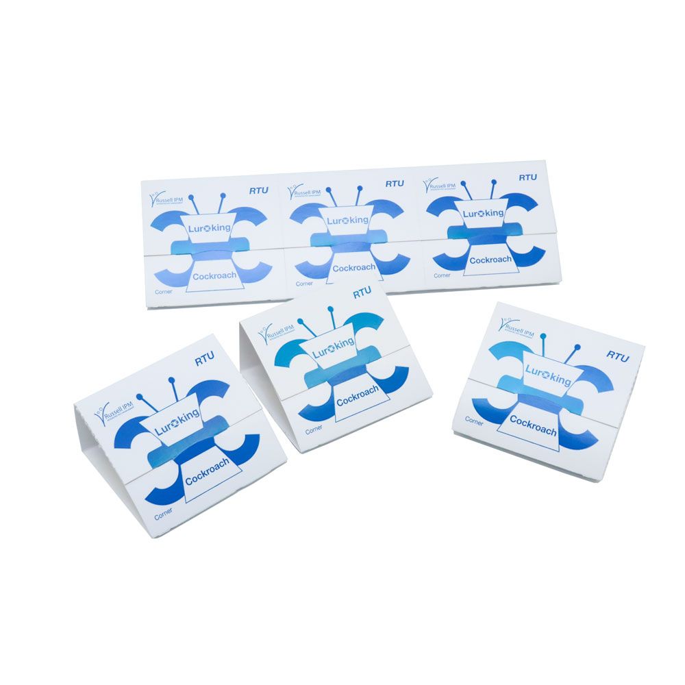 Lureking Corner – 100 x 3