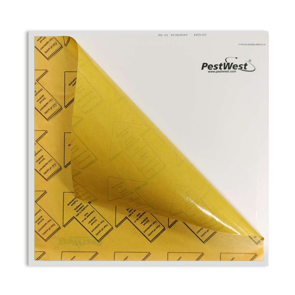 Tabla Adhesiva Sunburst® - 3 tablas