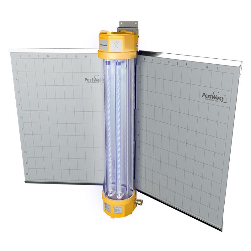 Chameleon® EXG X – 1